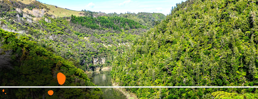 flights to Wanganui From Islamabad